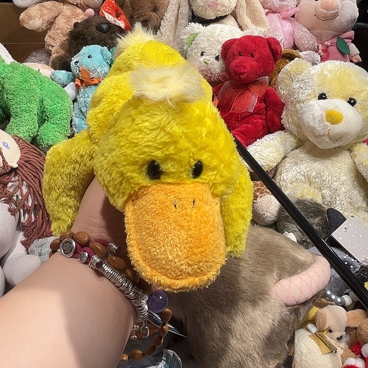 毛绒玩偶软软颗粒孤品