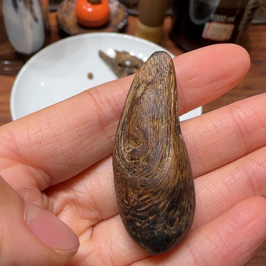 沉香碎屑沉香奇楠香胆4.9克