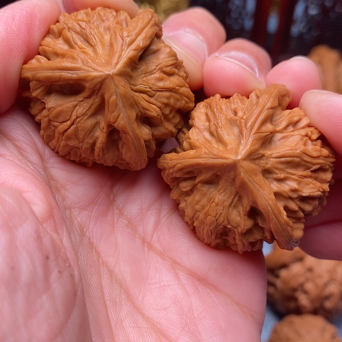 把件文玩核桃全品御龙本本36尺