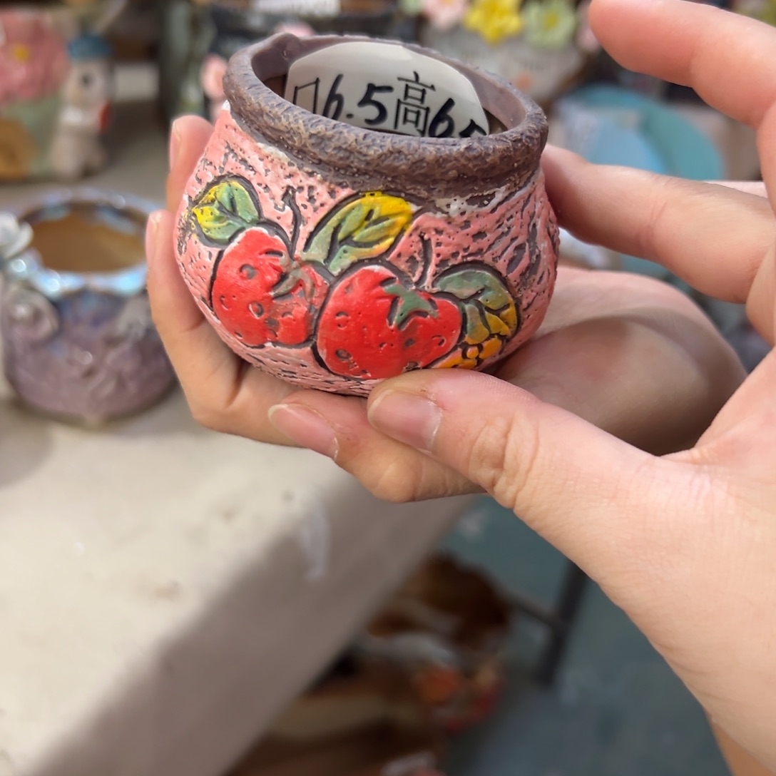 满20米飞秒拍秒付多肉花盆