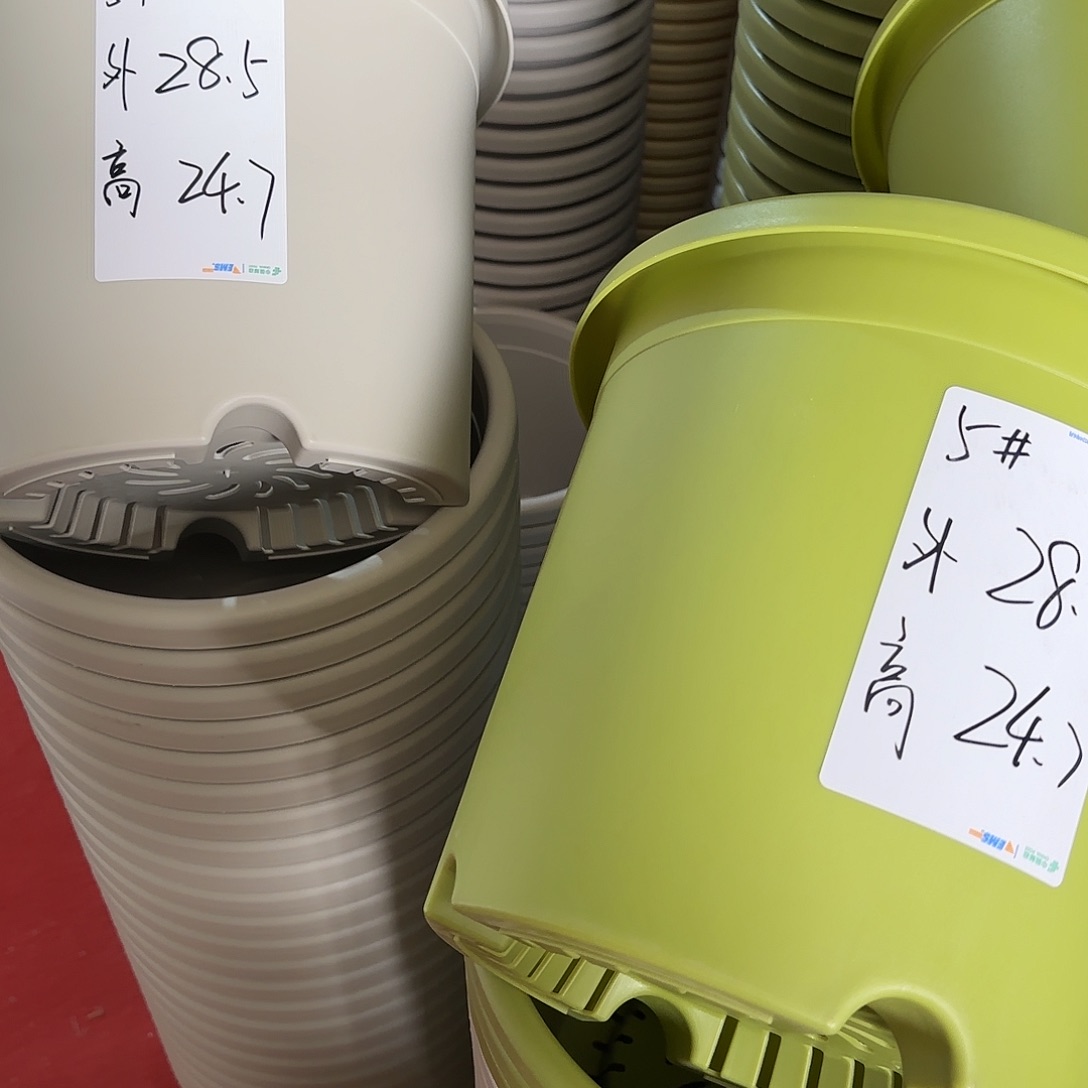 树脂四季5号无托3个灰白3个果绿