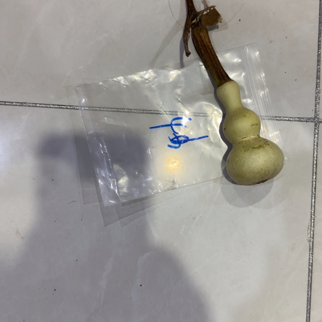 自***7青皮不包成青皮不包成