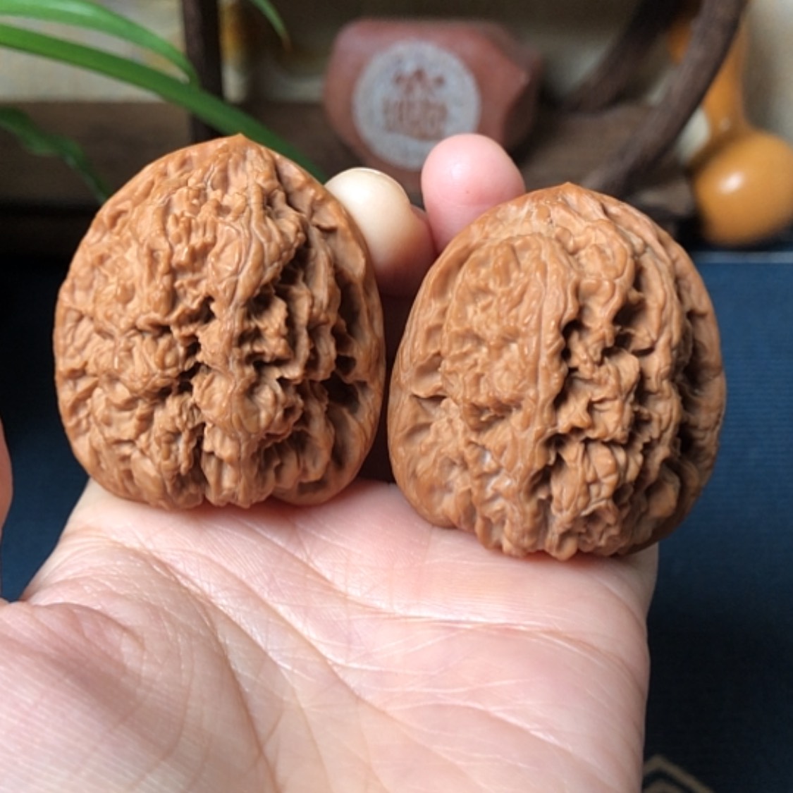 【闪购商品】文玩核桃把件华北将军膀