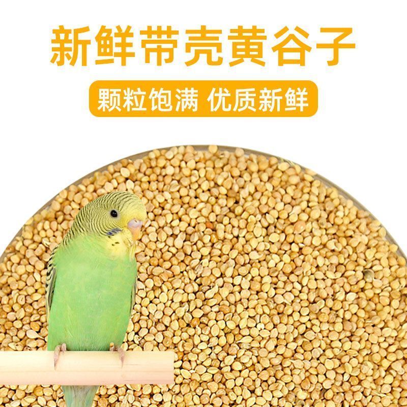 带壳黄谷子小米鹦鹉饲料适用于中小型鹦鹉鸟食