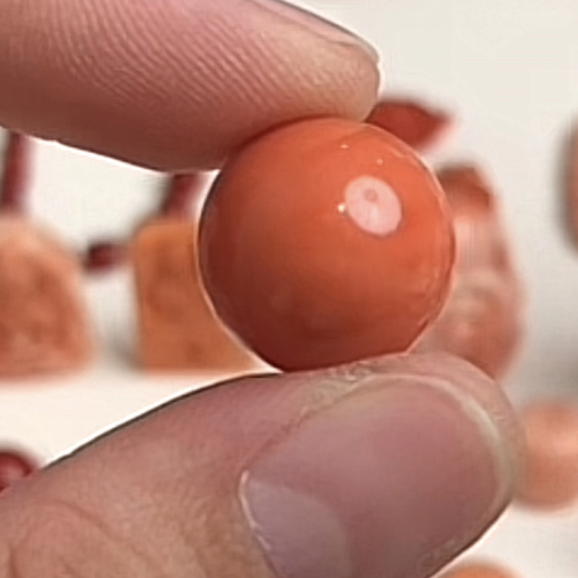 珊瑚momo圆珠一颗特漏