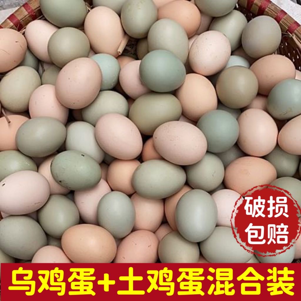 【抢/50枚】新鲜农家散养土鸡蛋和乌鸡蛋混合装适合儿童孕妇营养蛋