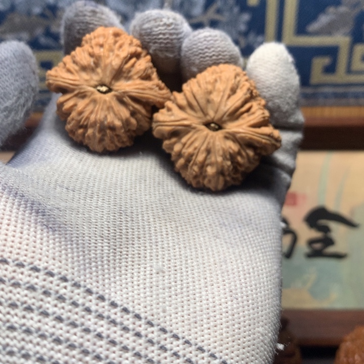 天***秋哈哈哈哈哈哈哈哈哈