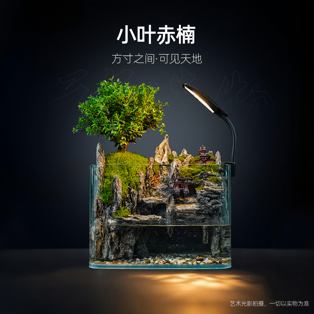 【十怡】天阙双瀑—带灯双流水内循环真绿植小叶赤楠缸 尺寸25*16*18