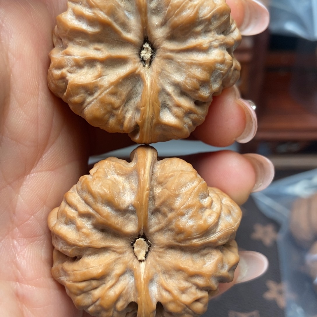 大叶紫檀（黑酸枝木类）招财金蟾
