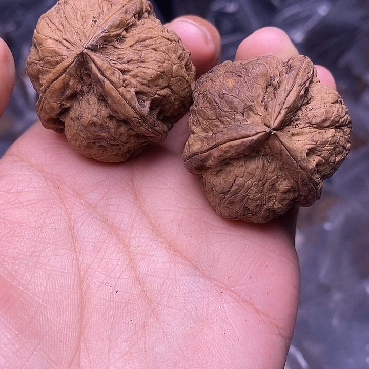 把件文玩核桃   152