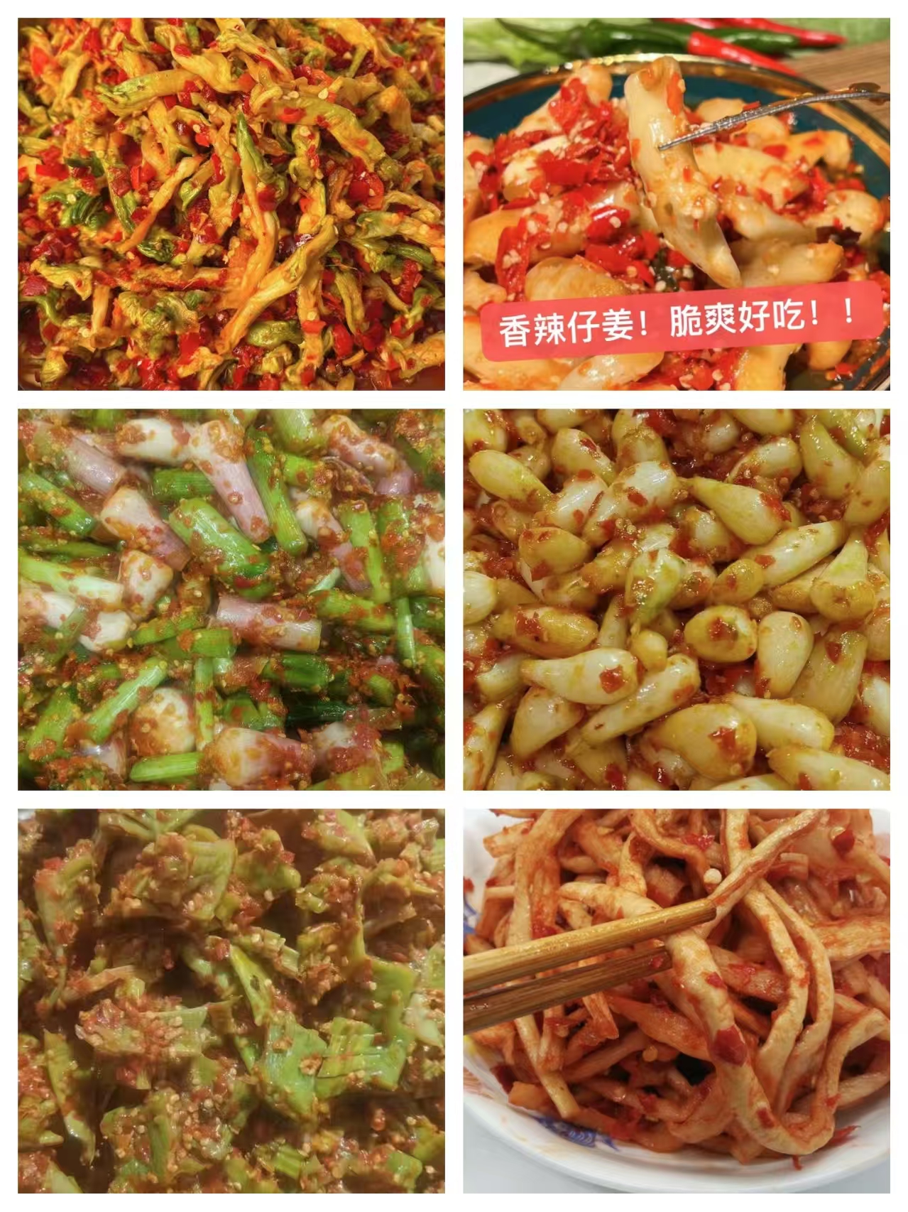 湘湖南郴州桂阳贺氏姐妹农家传统坛子腌制剁椒下饭菜凉拌泡菜