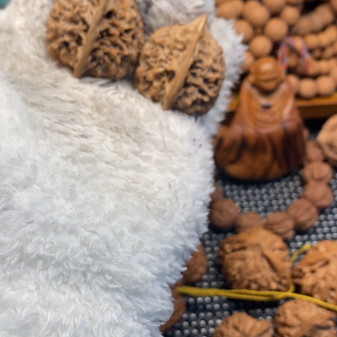 秦岭森林中出现许多鸟类及