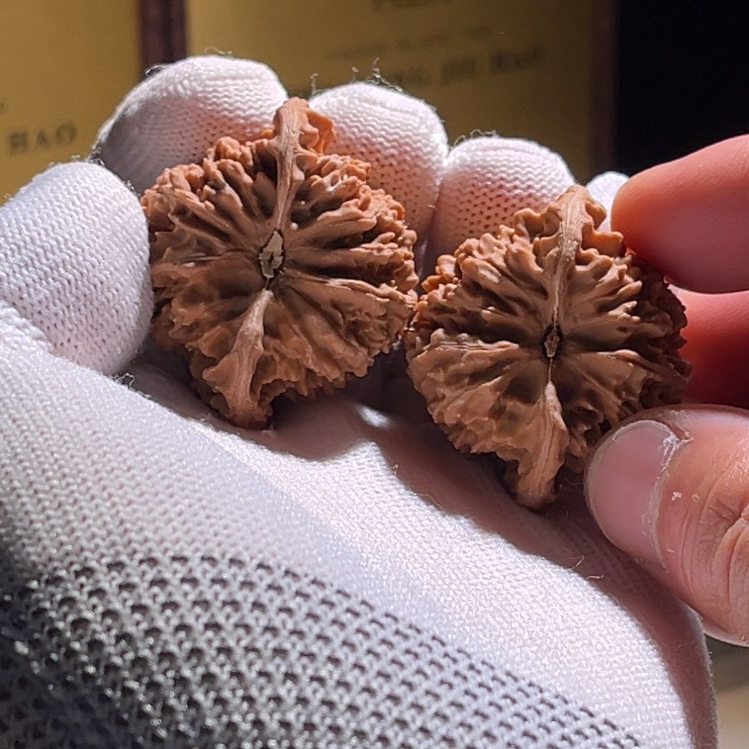 不***人全品呢 49全品。没N日安心。