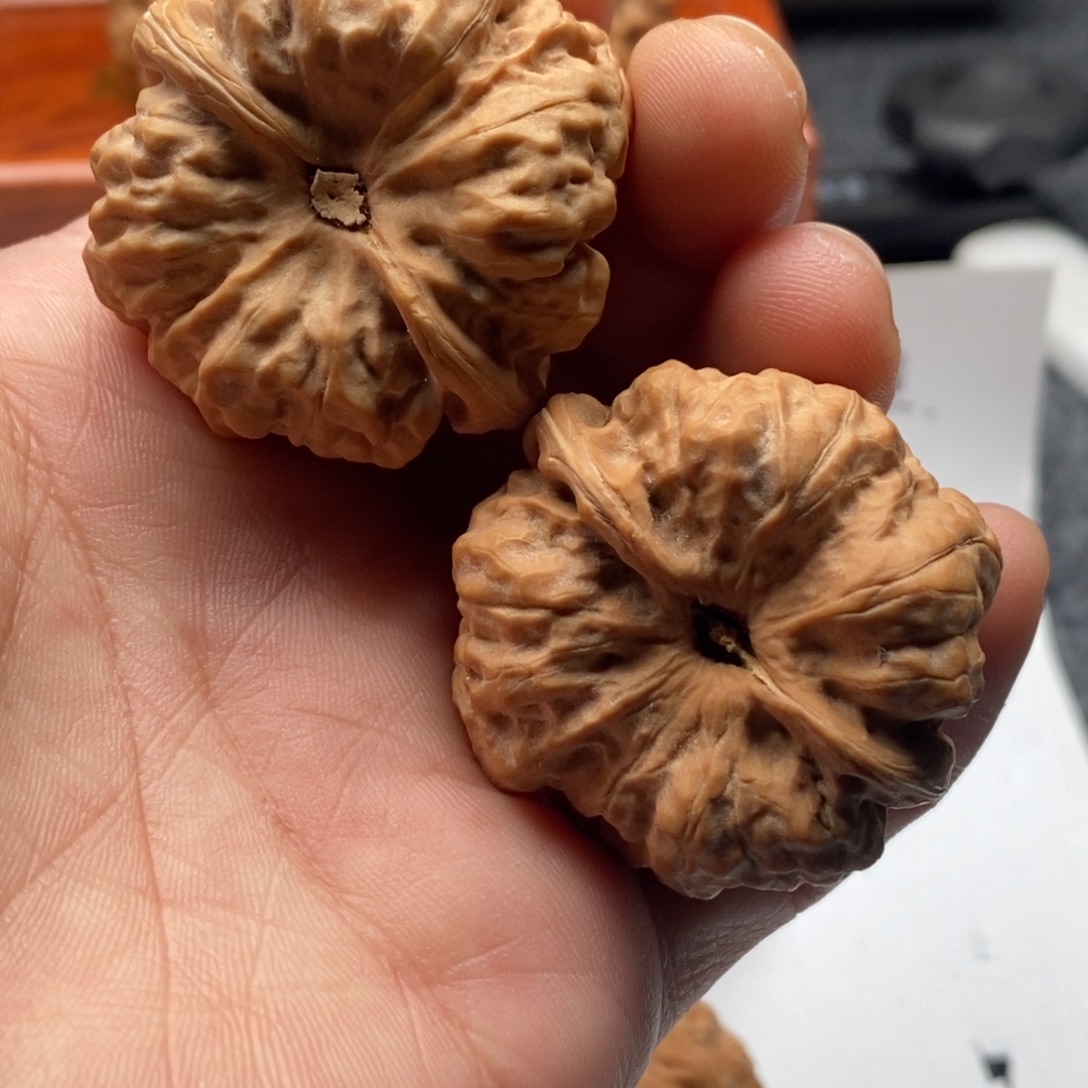 O***y好的我真的是太喜欢了