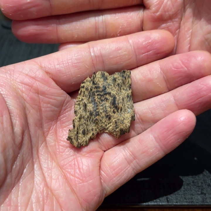 吊坠沉香海南沉水鹧鸪斑1.88g