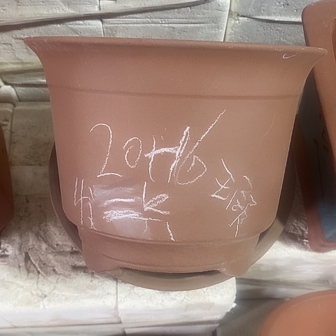 紫砂中国宜兴紫砂花盆，