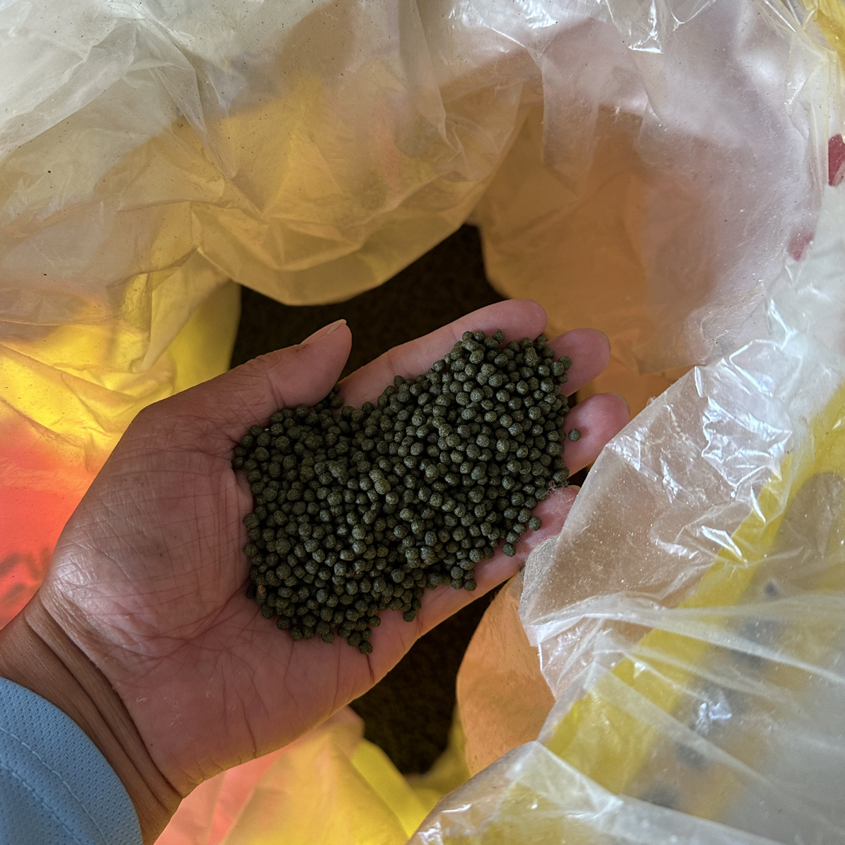 下沉上浮通用型小颗粒鱼食适用于金鱼锦鲤兰寿等观赏鱼增肥
