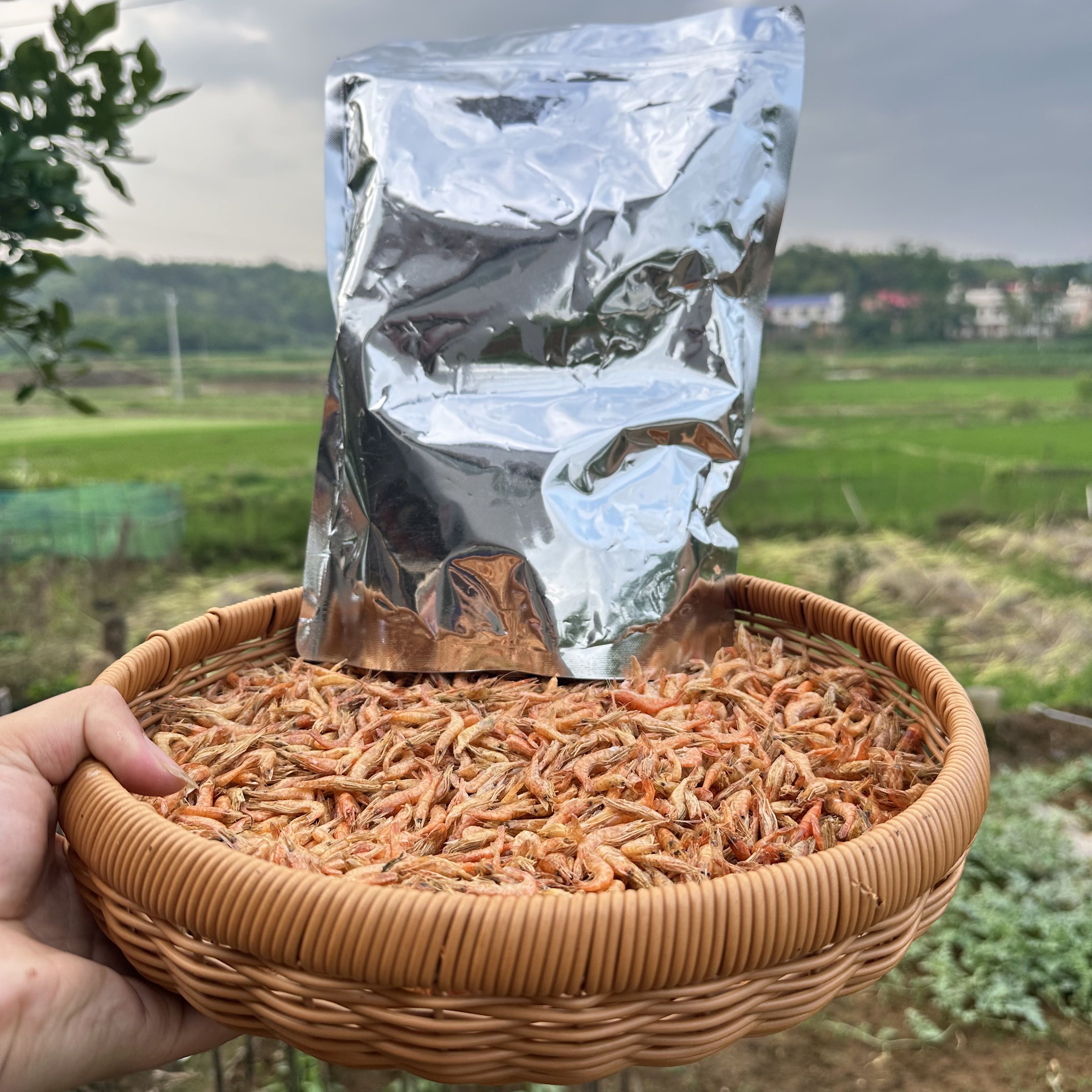 湖南特产 精品烤焙 小虾米 淡水 小虾米干 无苦 无沙 无盐  不腥 