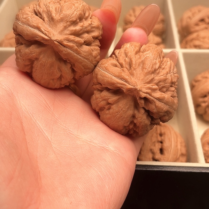 张***斗霸王龙核桃尺寸41