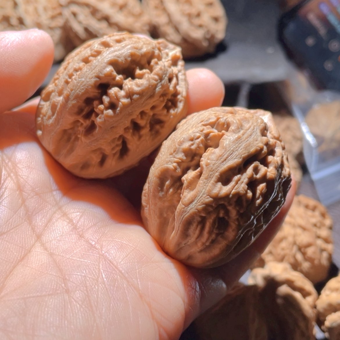 【闪购商品】文玩核桃把件飒**分东北楸子16