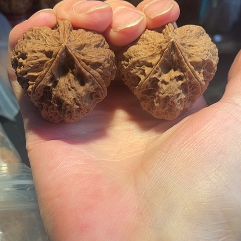 文玩核桃把件暗夜行者带彩微磕41