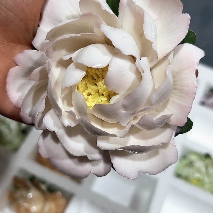 微瑕福利，不退不换