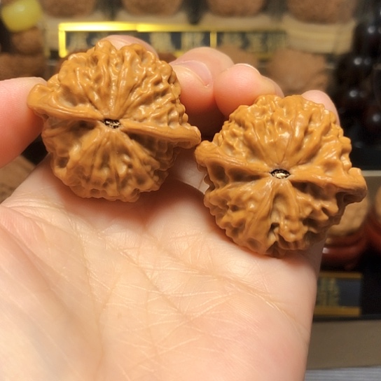 精品野生小众玄月