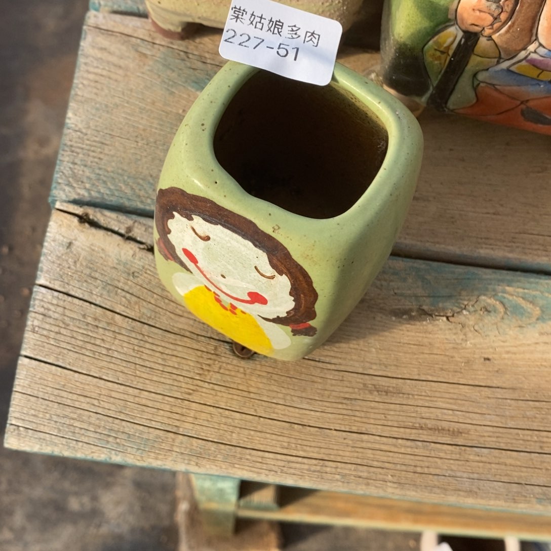 红陶红*蓝51号多肉花盆一个