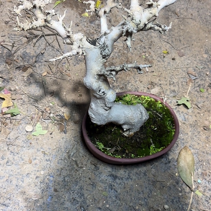 潜***茶无花朵哈哈哈哈哈