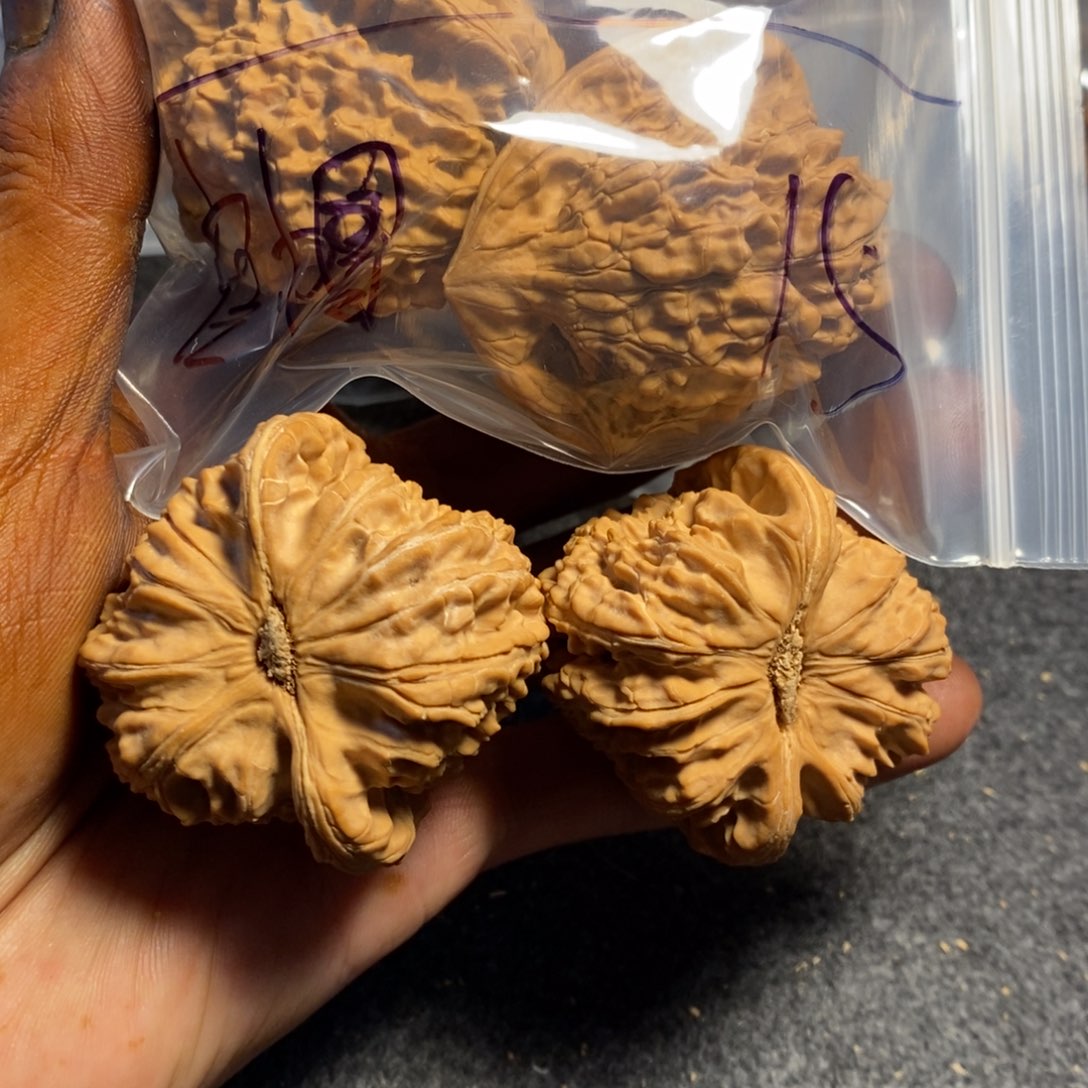 t***t文玩核桃把件官帽加白狮子