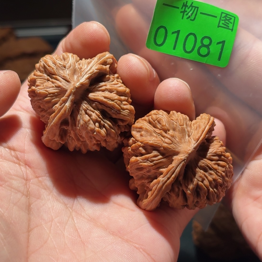 文玩核桃把件蓟县六