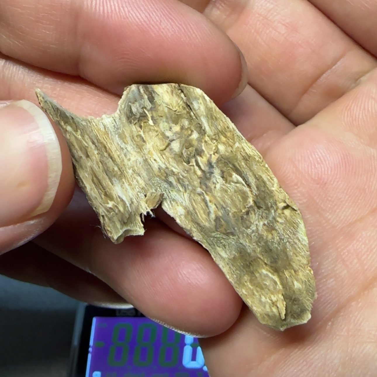 【闪购商品】沉香沉香香囊8*3国香虎斑奇沉香0.6g