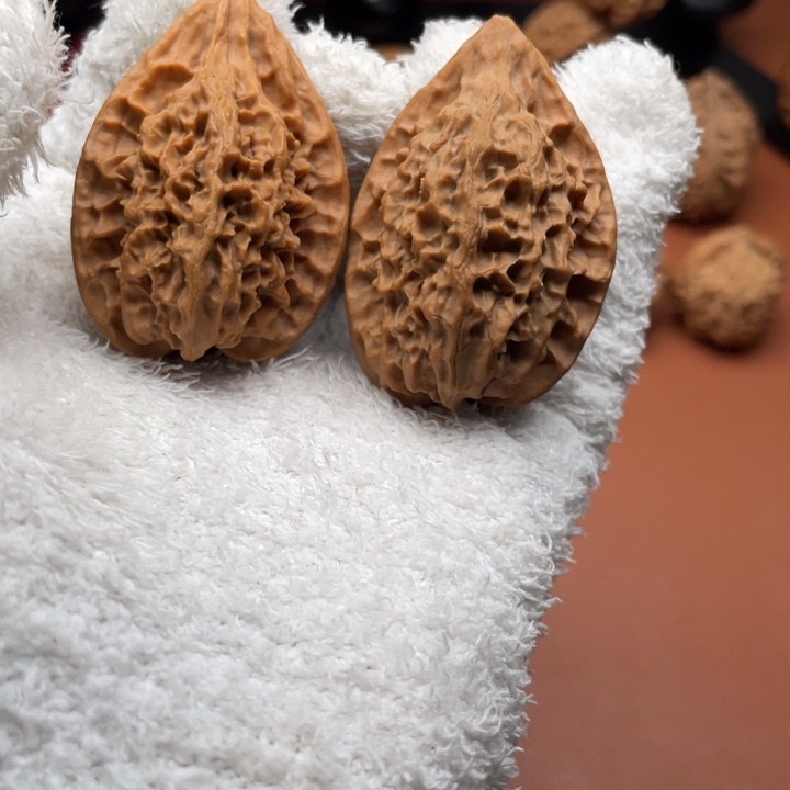 3***℃木质类秦核等人的故事也在