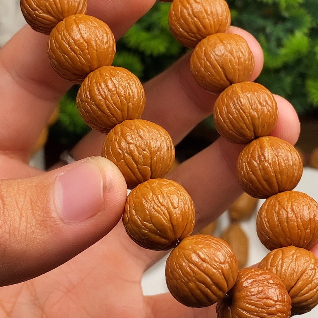 橄榄核手串/手链hhhhhhhhhhhhhhhhhbbbnn