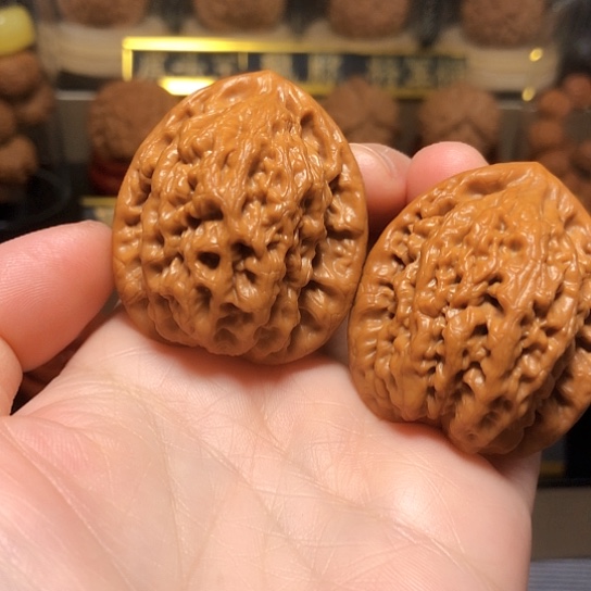 今日推荐：金公子