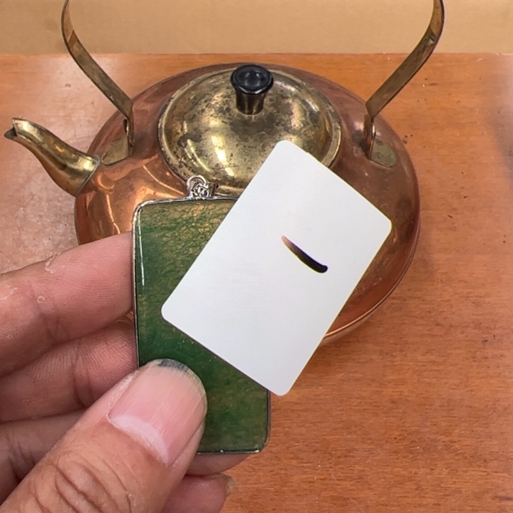 金***茶茶宠今天晚上吃什么呢1
