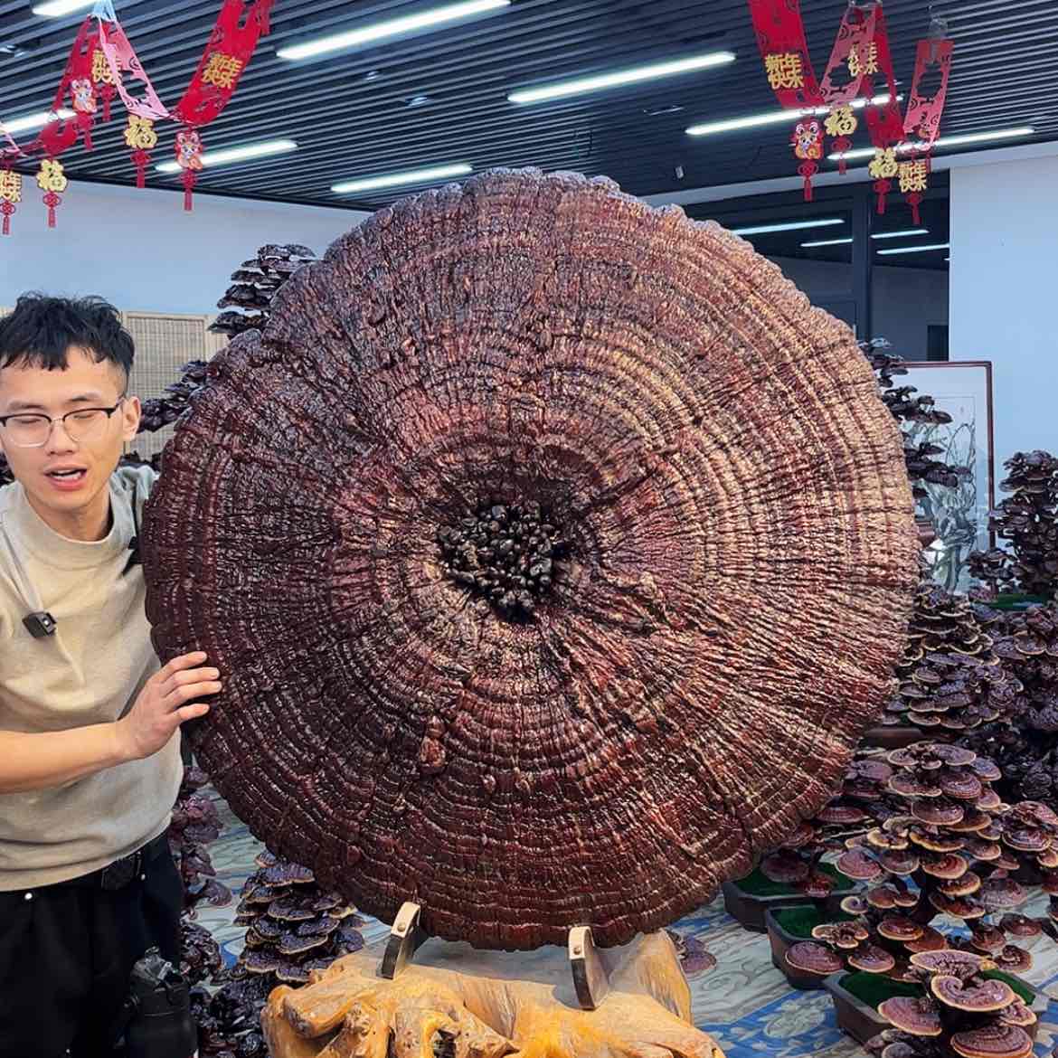 【闪购商品】88888888