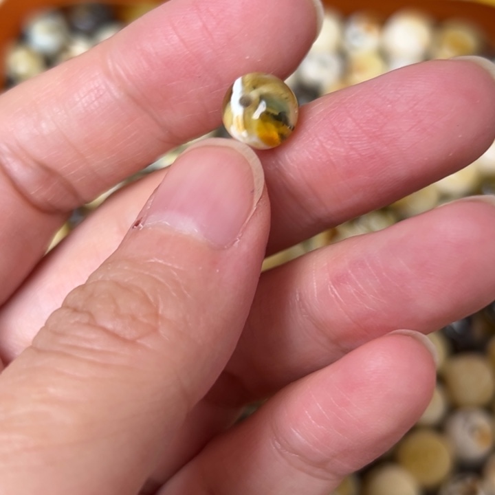 蜜蜡未镶嵌裸石8.5mm一个