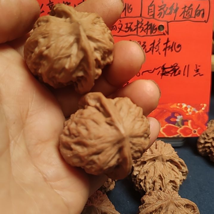 文玩核桃把件37.7~37.8的全品野狼