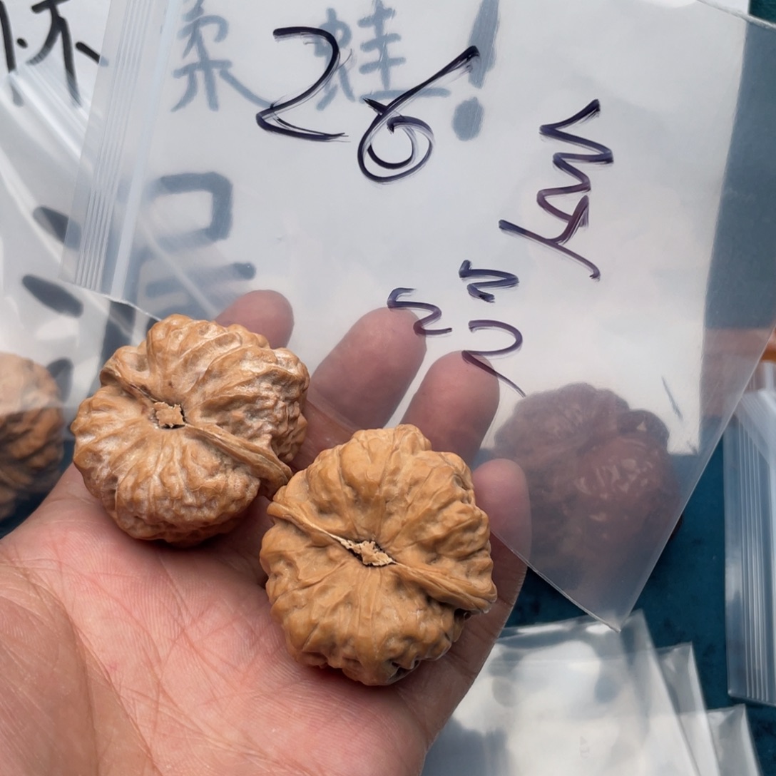 573573357753537573573