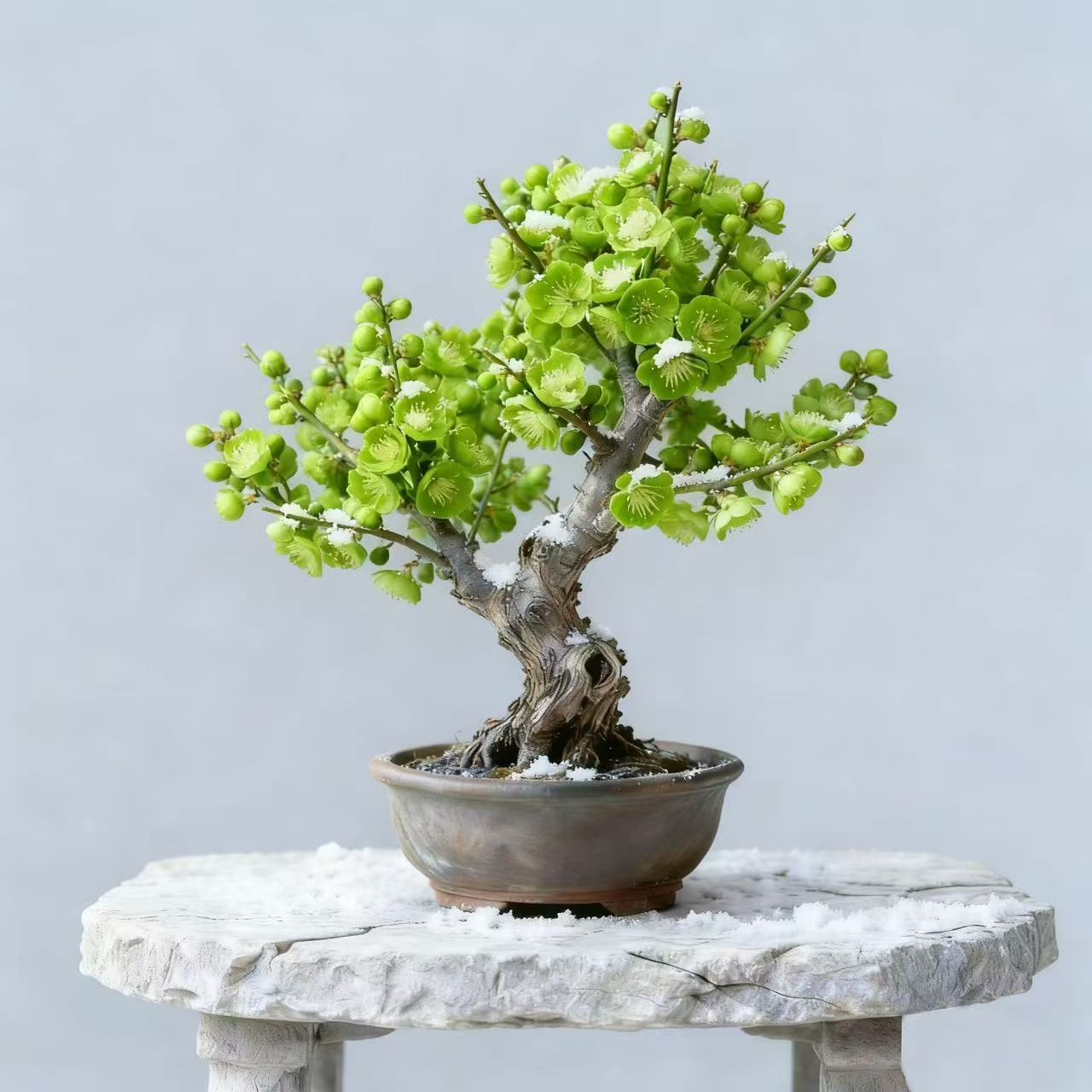 【带花苞】腊梅开花浓香梅花地栽树苗耐寒腊梅四季开花卉室外绿植