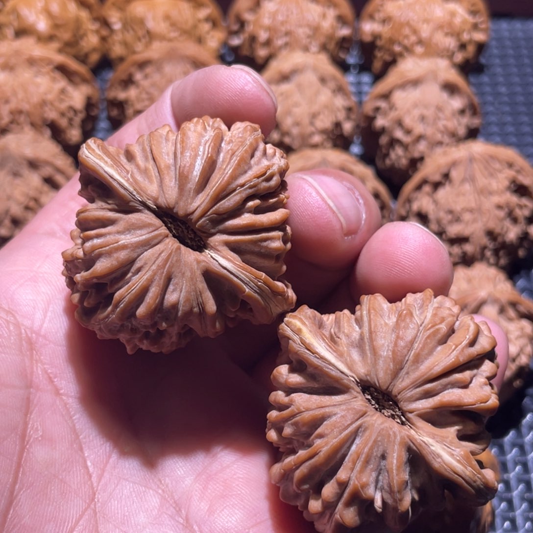 她***歌核桃44全品老树四座楼