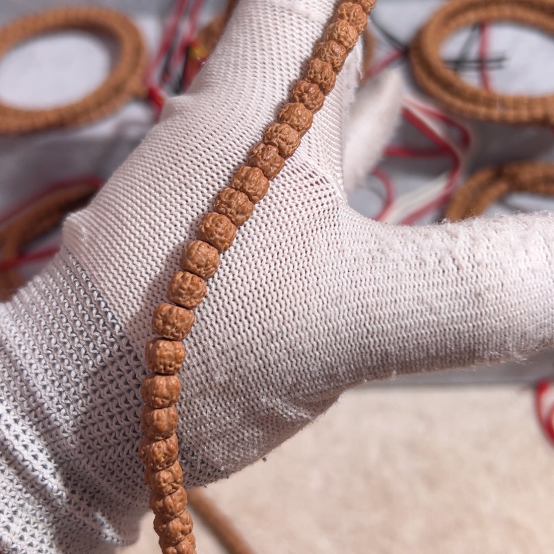 林*五爪金龙龙切佛珠小金刚