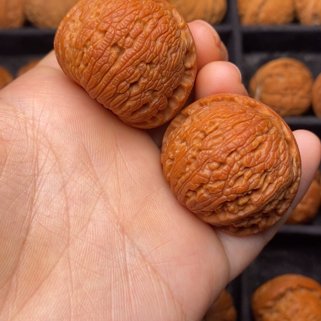 文玩核桃把件秦岭野生核桃