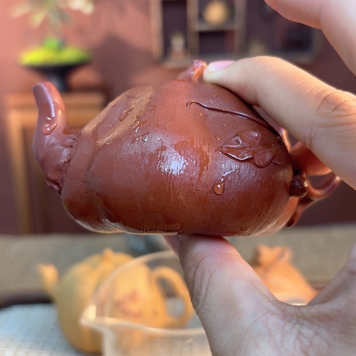 紫砂茶壶紫砂我做的
