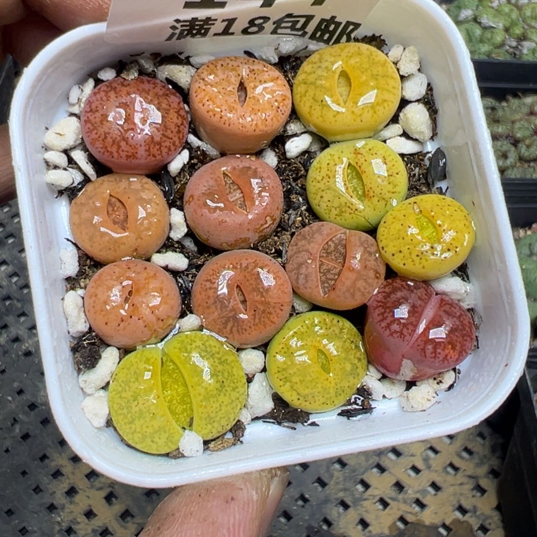 【闪购商品】 144。   