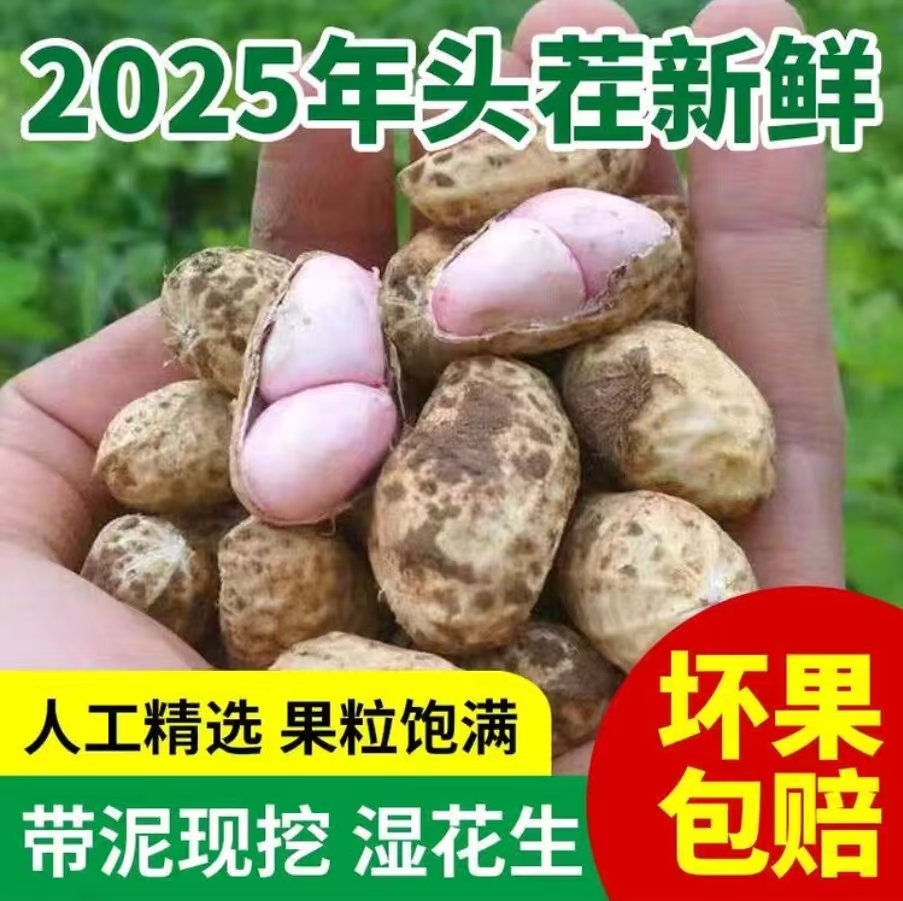 2025年鲜花生带壳现挖的新花生农家自种花生