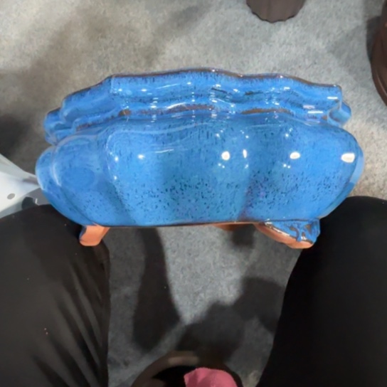 紫砂茶碗今**遇紫砂花盆