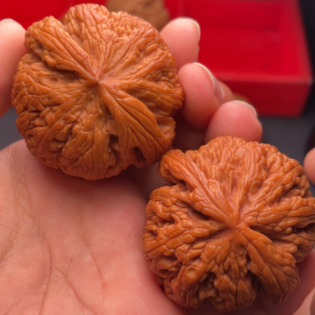 文玩核桃把件秦岭山脉