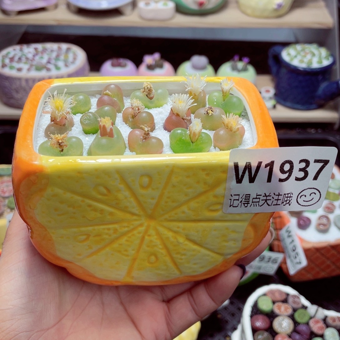 零下地区拍保温箱w1937